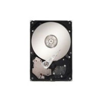Seagate Constellation 500GB (ST9500530NS)